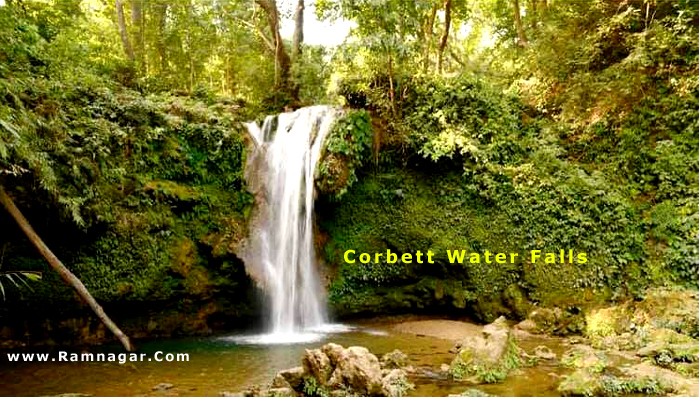 Corbett Falls or Corbett Water Falls Ramnagar Nainital Uttarakhand